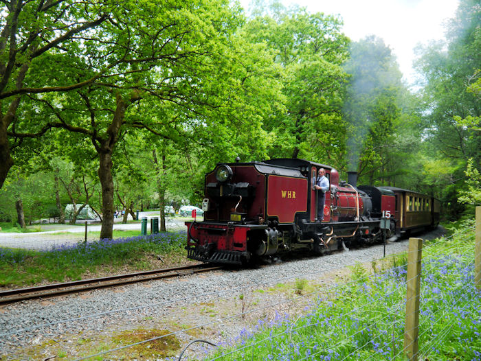 train